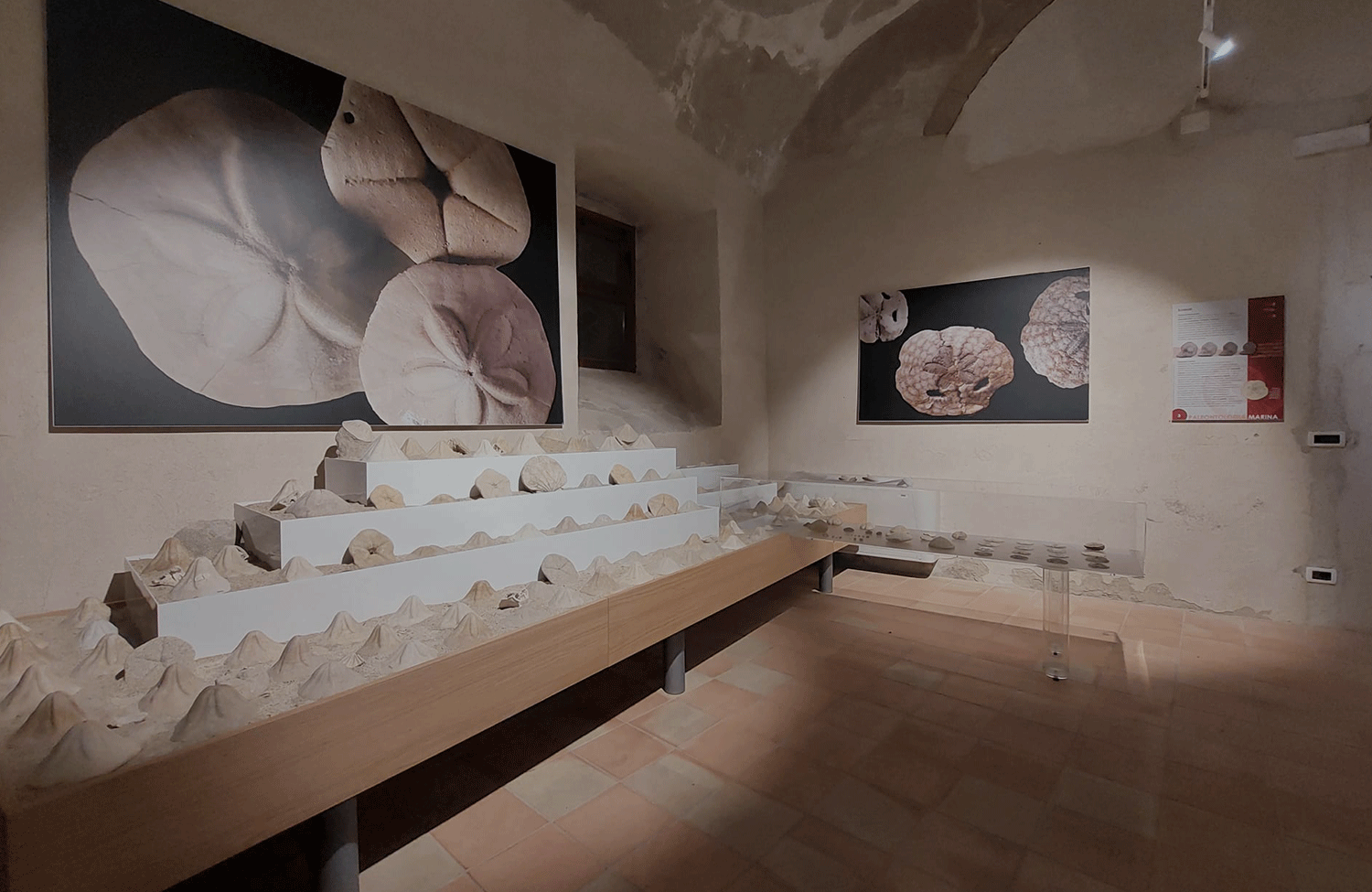 MuMaT – Il Civico Museo del Mare di Tropea  a Palazzo Santa Chiara